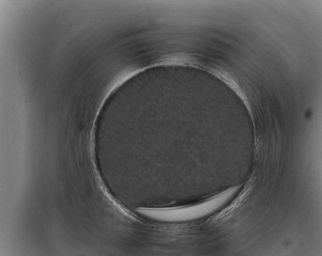 X0000095951045200801181418