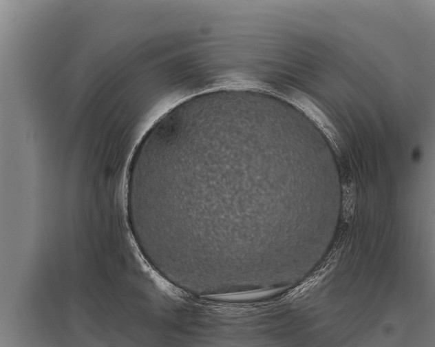 X0000095951046200801181418