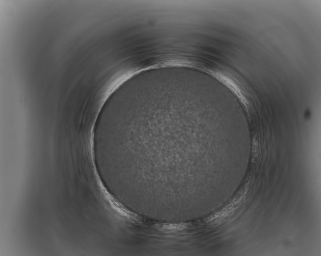 X0000095951047200801181418