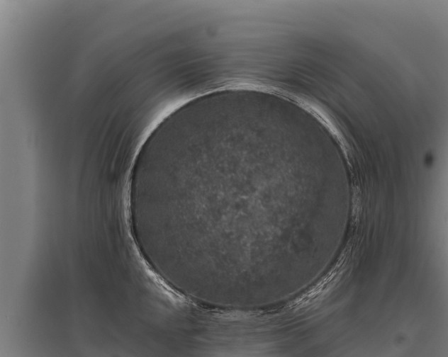 X0000095951048200801181418