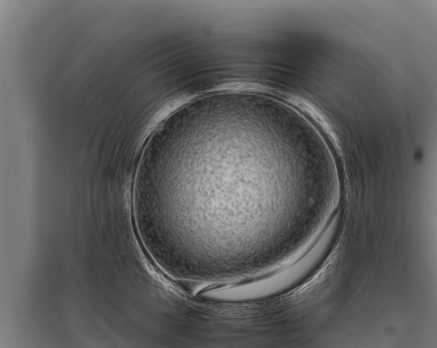 X0000095951049200801181418