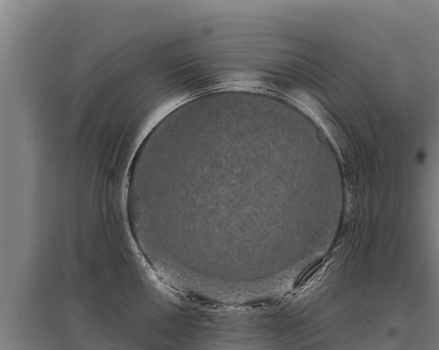 X0000095951050200801181418