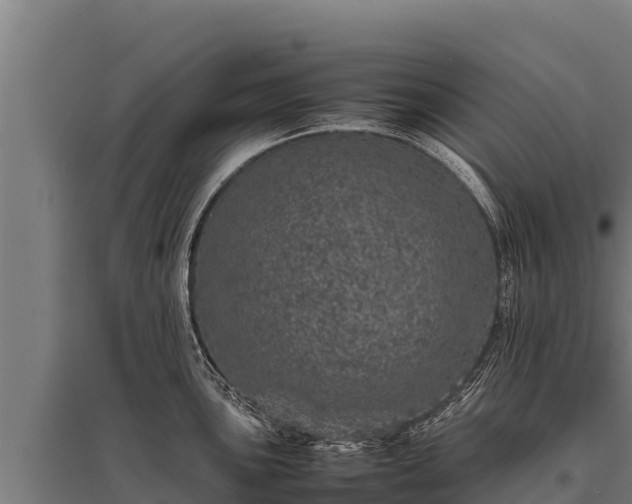 X0000095951051200801181418