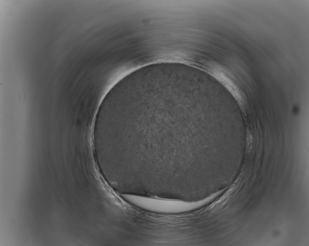 X0000095951052200801181418