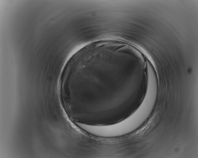 X0000095951053200801181418