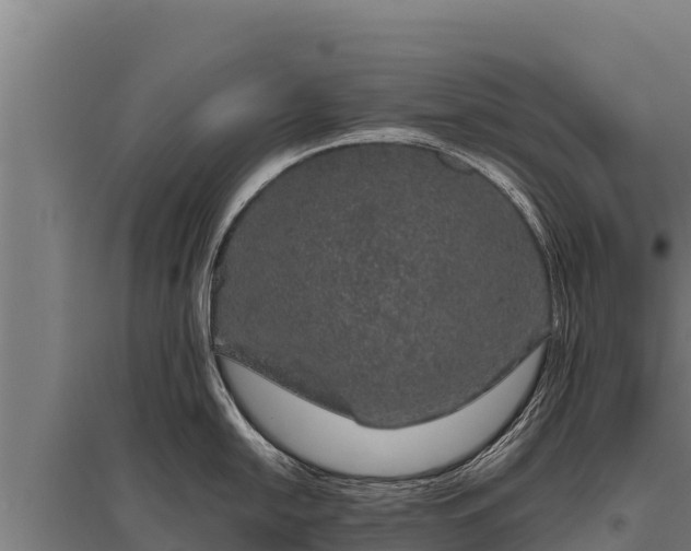X0000095951054200801181418
