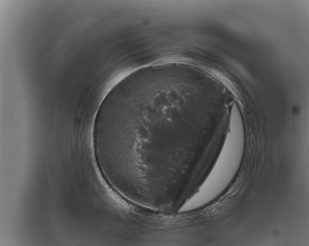 X0000095951055200801181418