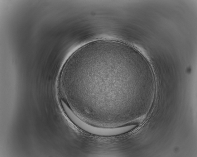 X0000095951056200801181418