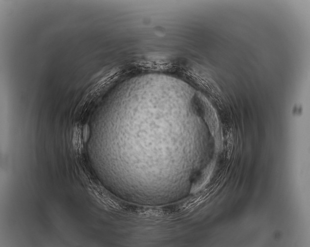 X0000095951058200801181417