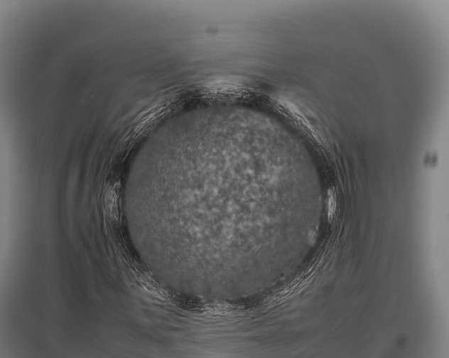 X0000095951059200801181417