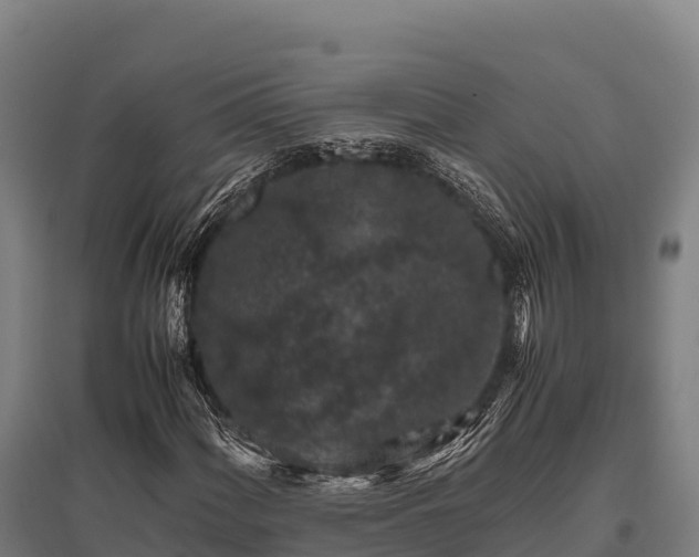 X0000095951060200801181417
