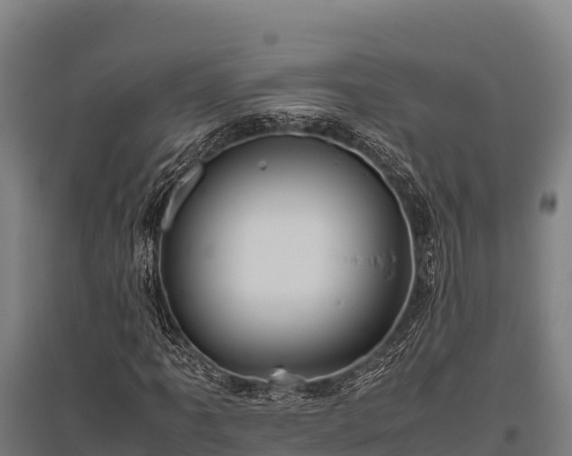 X0000095951061200801181417