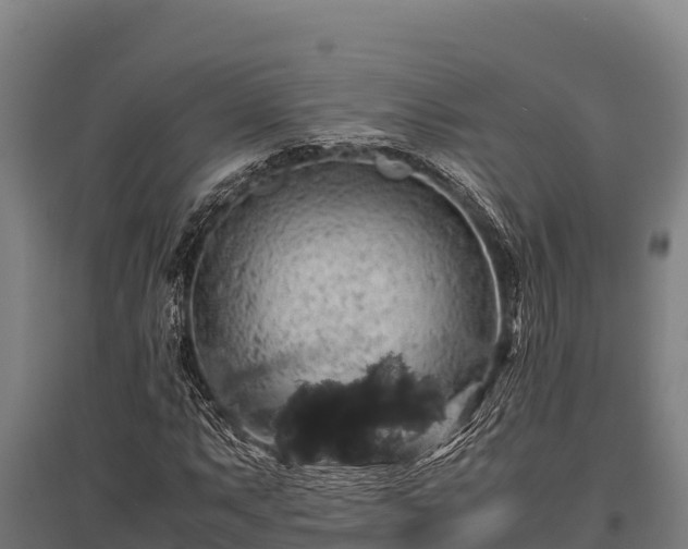 X0000095951063200801181417