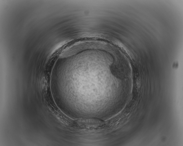 X0000095951064200801181417