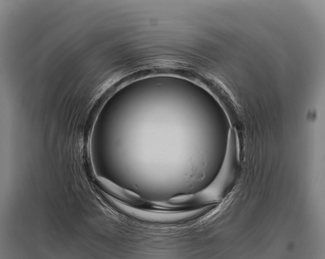 X0000095951065200801181417