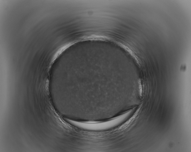 X0000095951066200801181417