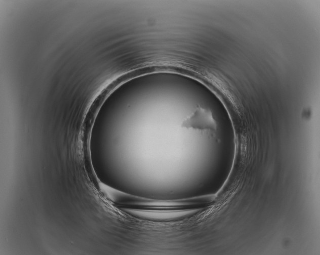 X0000095951068200801181417