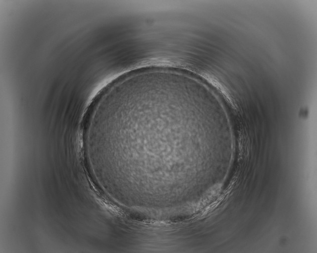 X0000095951070200801181417