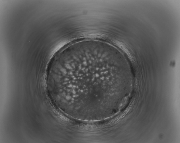 X0000095951071200801181417