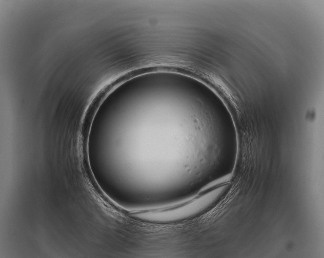 X0000095951072200801181417