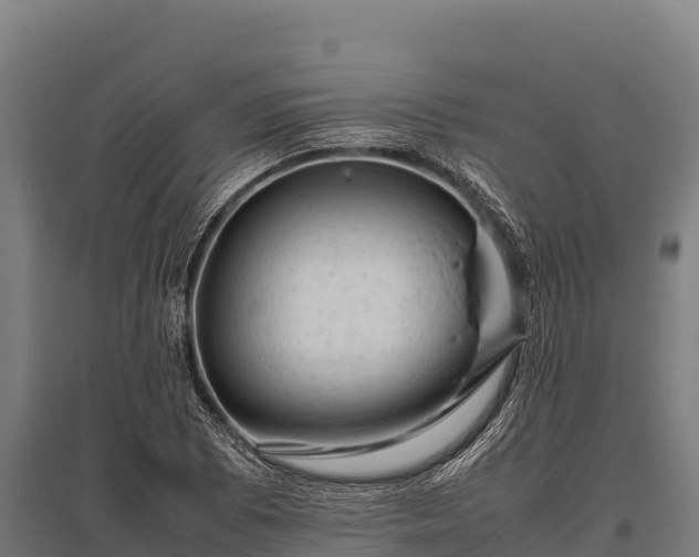 X0000095951073200801181417