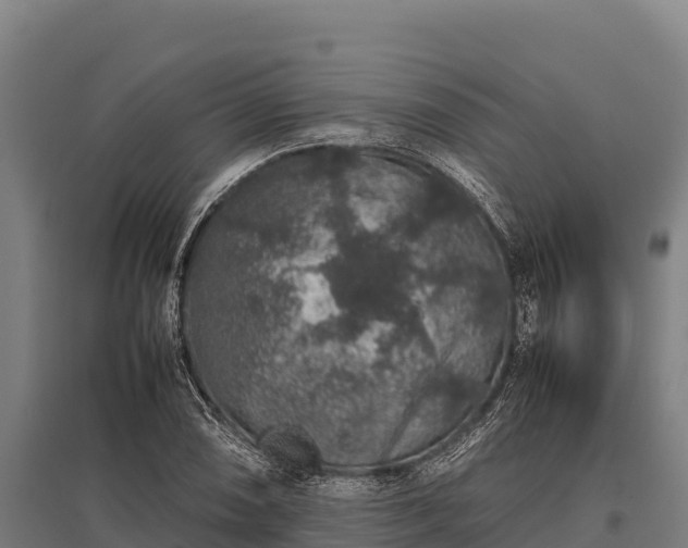 X0000095951074200801181417
