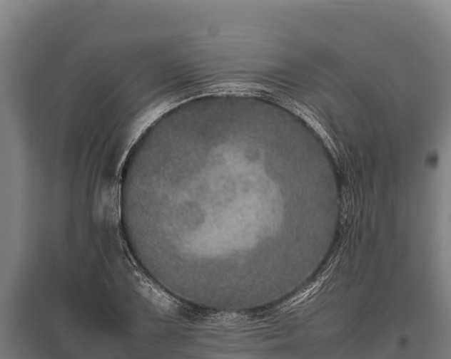 X0000095951075200801181417