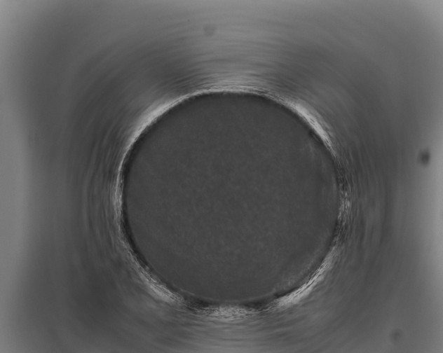 X0000095951077200801181417