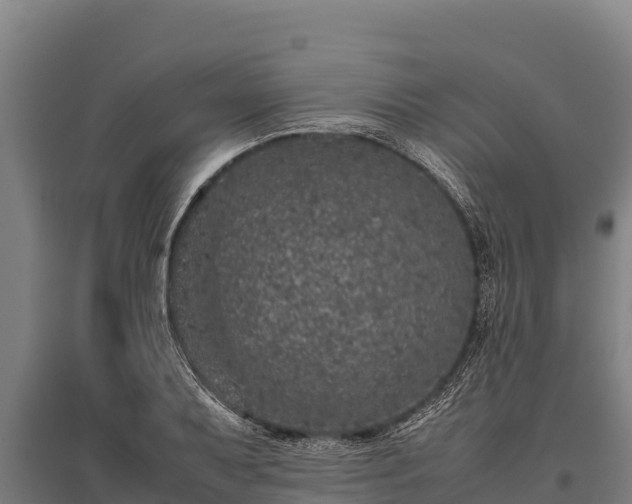 X0000095951079200801181417
