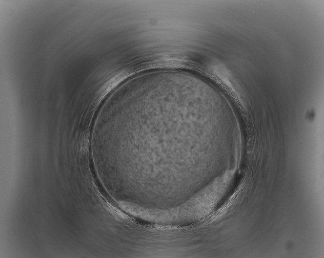 X0000095951081200801181417