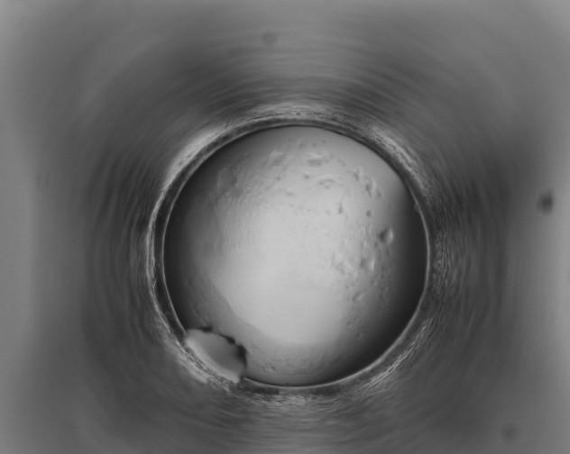 X0000095951082200801181417
