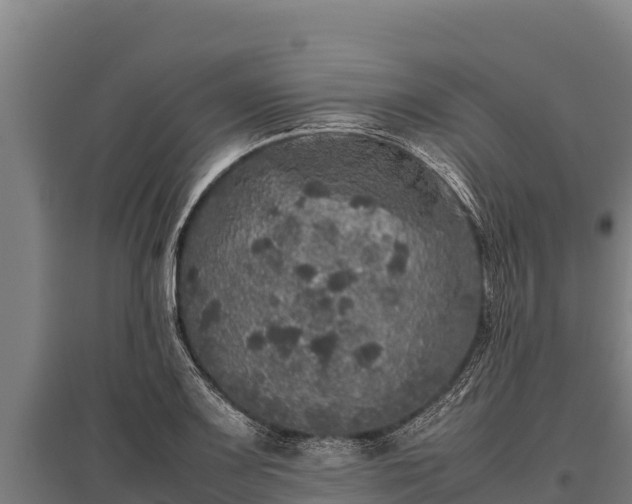 X0000095951083200801181417