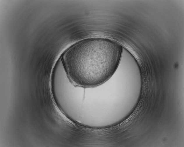 X0000095951084200801181417