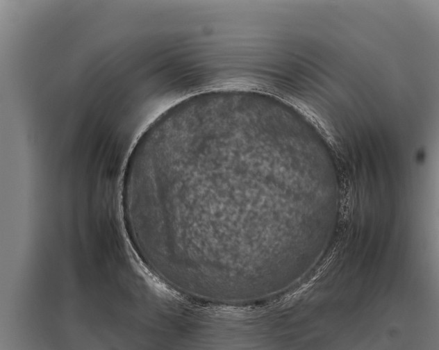 X0000095951086200801181417