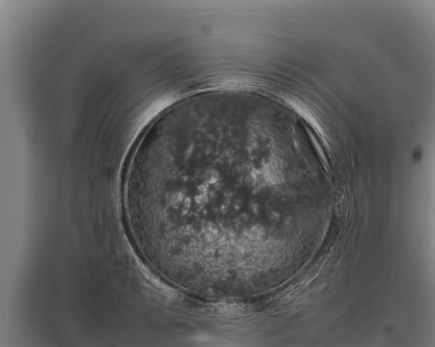 X0000095951087200801181417