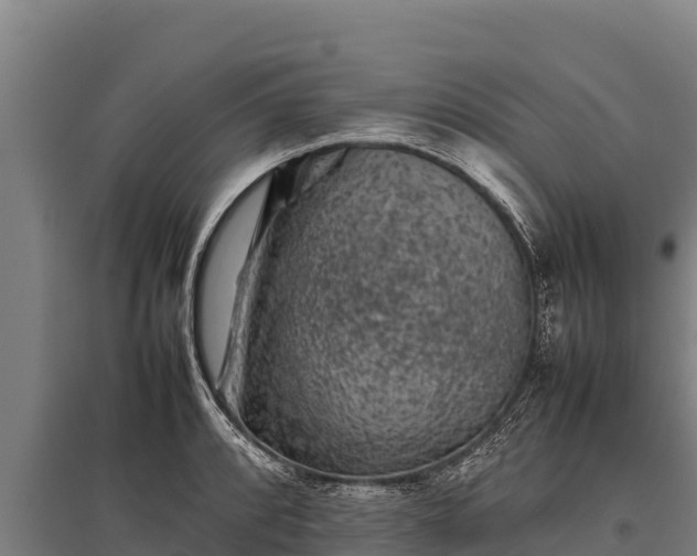 X0000095951088200801181417