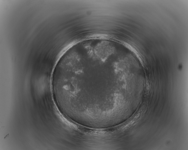X0000095951090200801181417