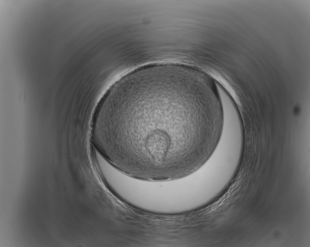 X0000095951093200801181417
