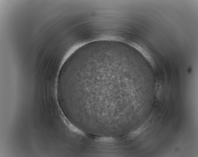 X0000095951094200801181417