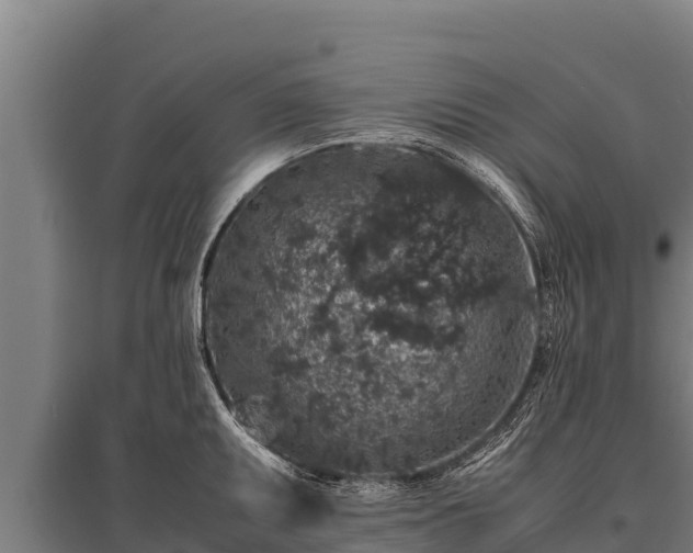 X0000095951095200801181417