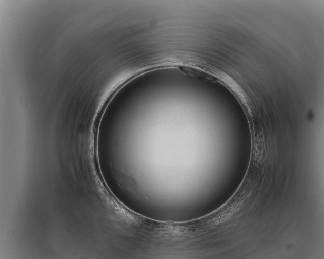 X0000095951096200801181417