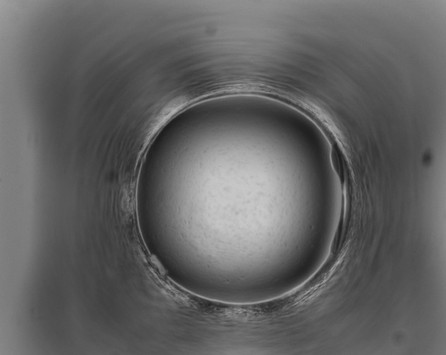 X0000095951097200801181417