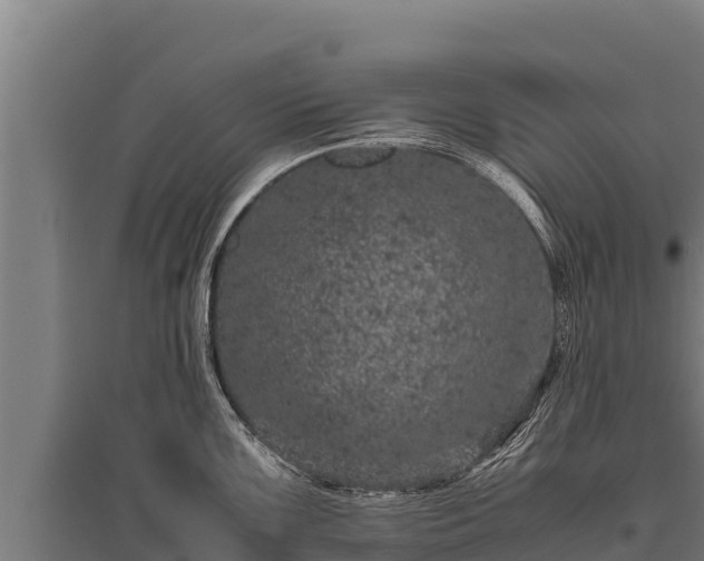X0000095951099200801181417