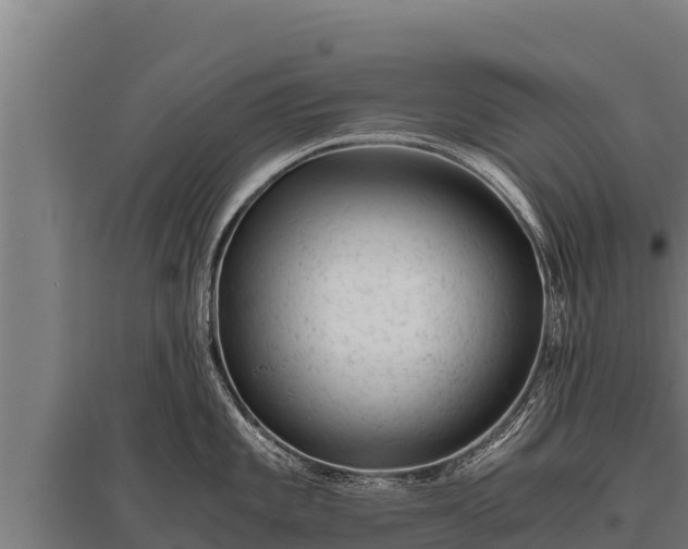 X0000095951101200801181417