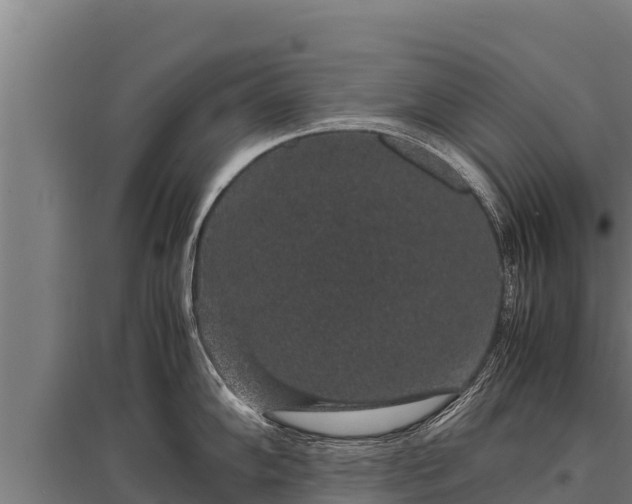 X0000095951102200801181417