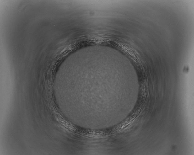 X0000095951105200801181416