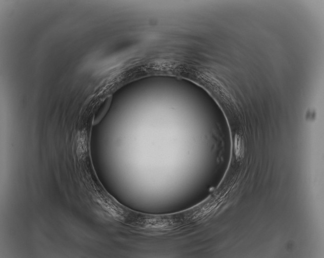 X0000095951107200801181416