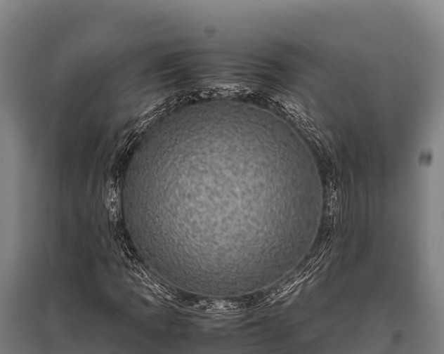 X0000095951109200801181416