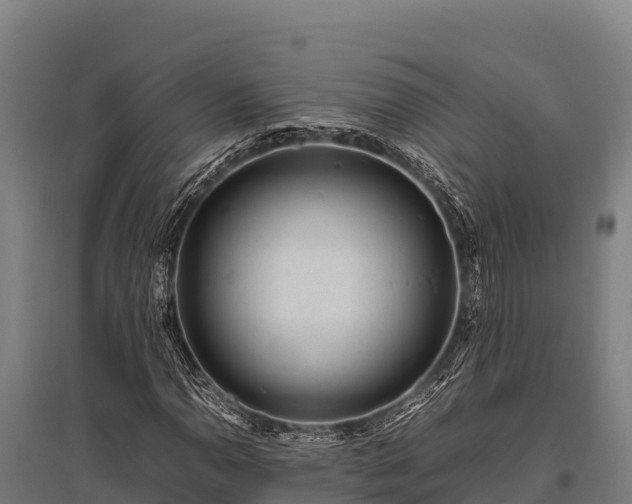 X0000095951110200801181416