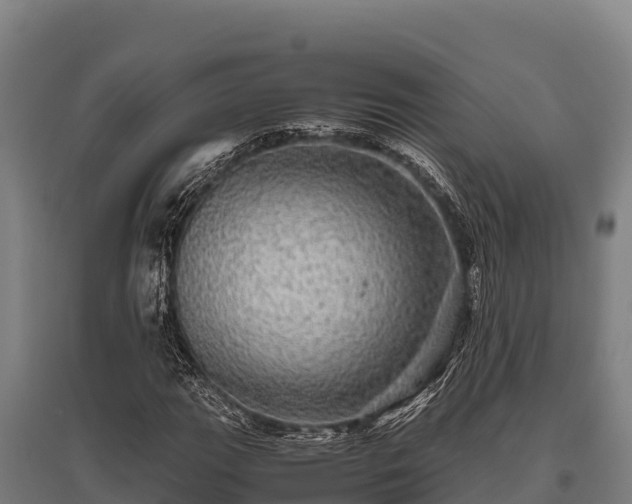 X0000095951111200801181416
